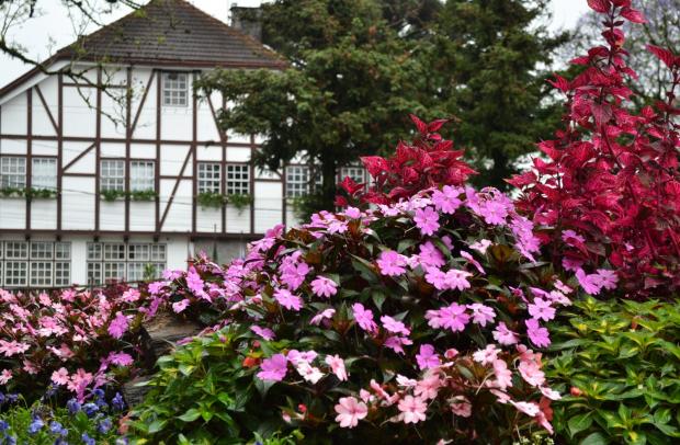 FOTO: Maico Fernando Schröer